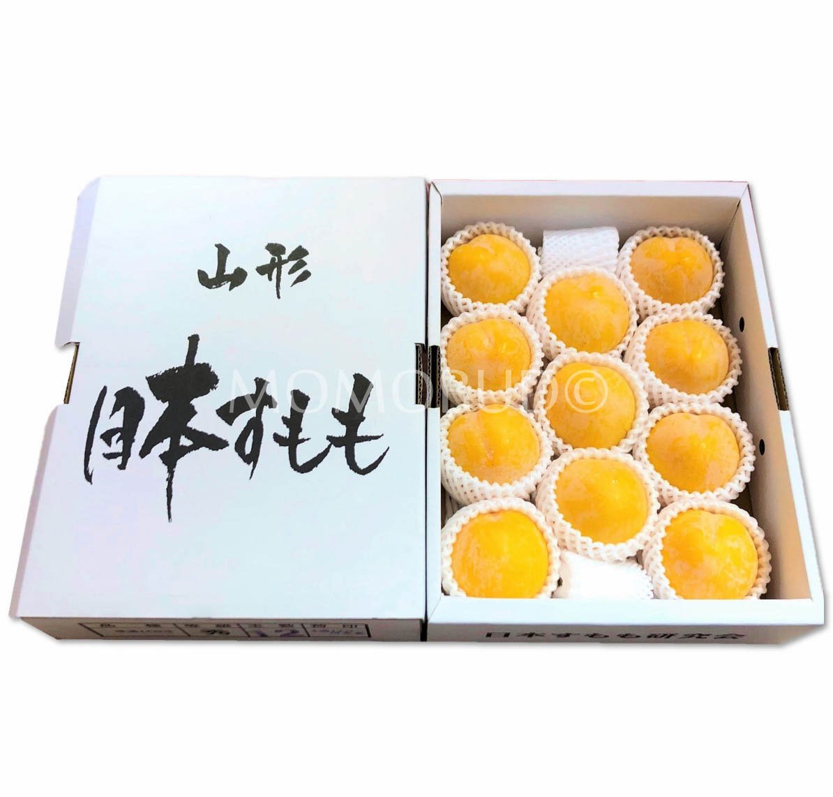 Japanese Homaniero Plum (Medium-Plus)