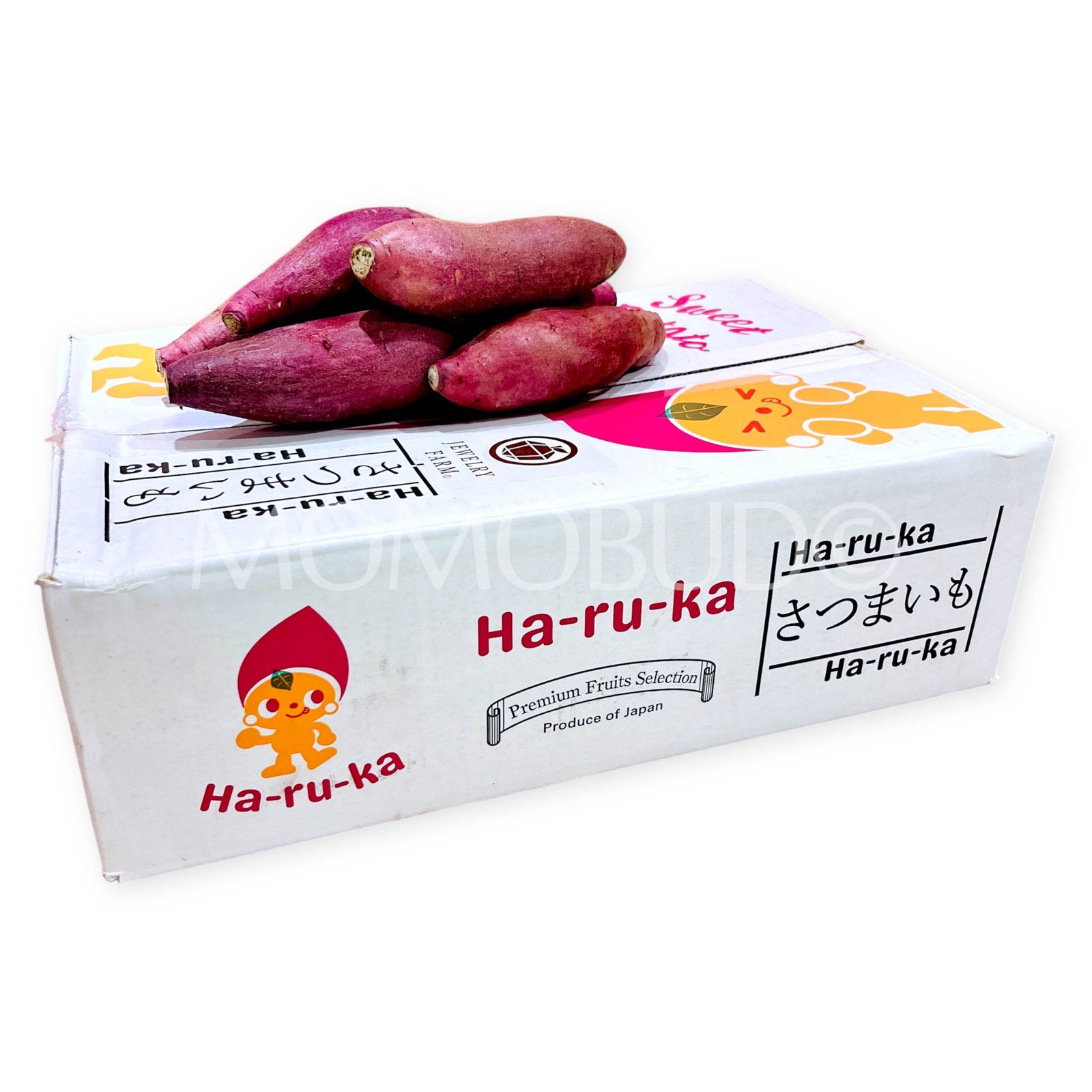 Japanese Beni Haruka Satsumaimo (Sweet Potato)