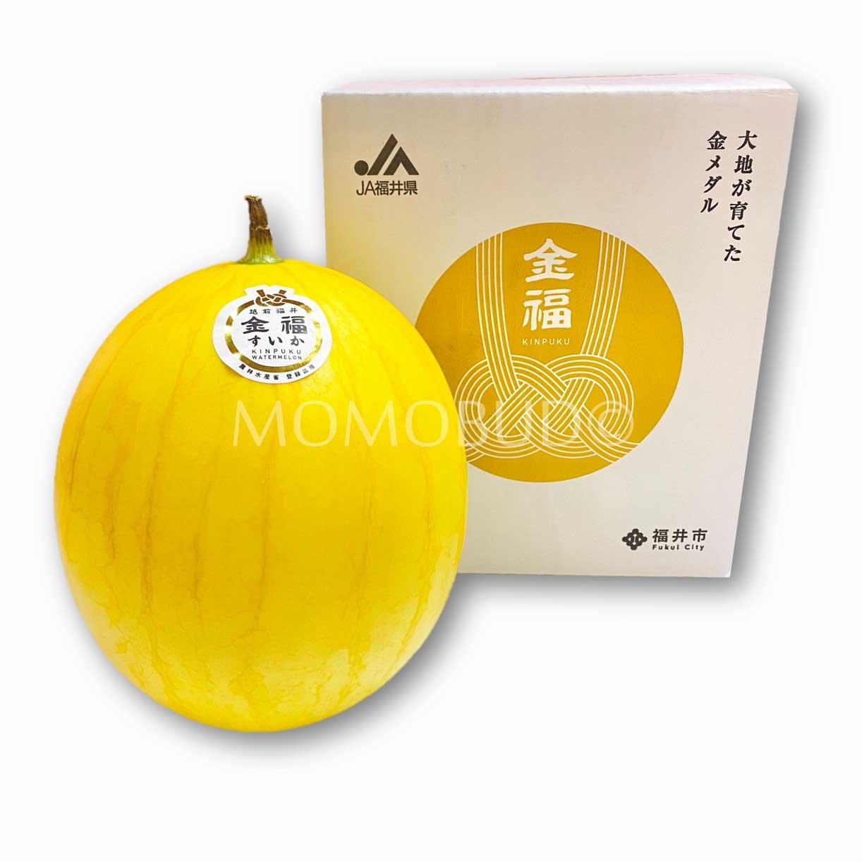 Japanese Kinpuku Golden Watermelon