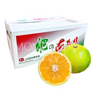 Japanese Kumamoto Hi no Akari Mikan (Mandarin Orange)