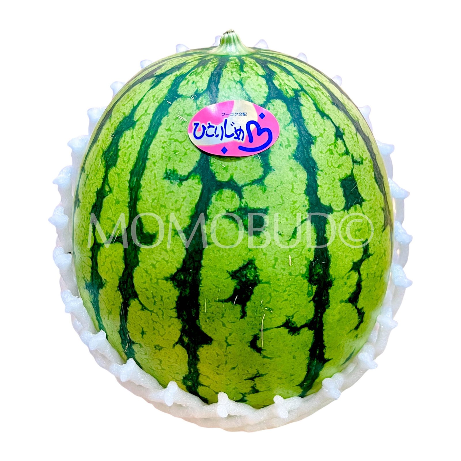 Japanese Kumamoto Hitorijime Watermelon