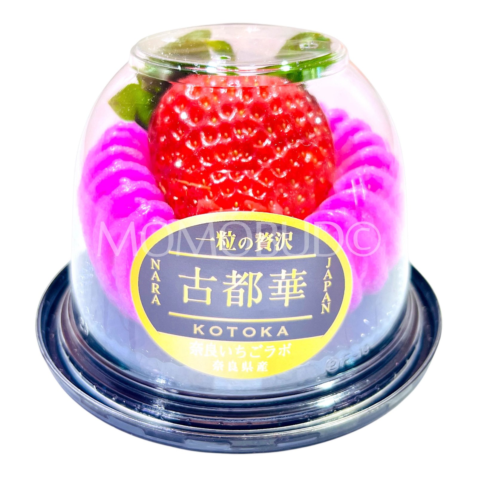 Japanese Nara Strawberry Lab Kotoka Ichigo (Strawberry) (40g cup)