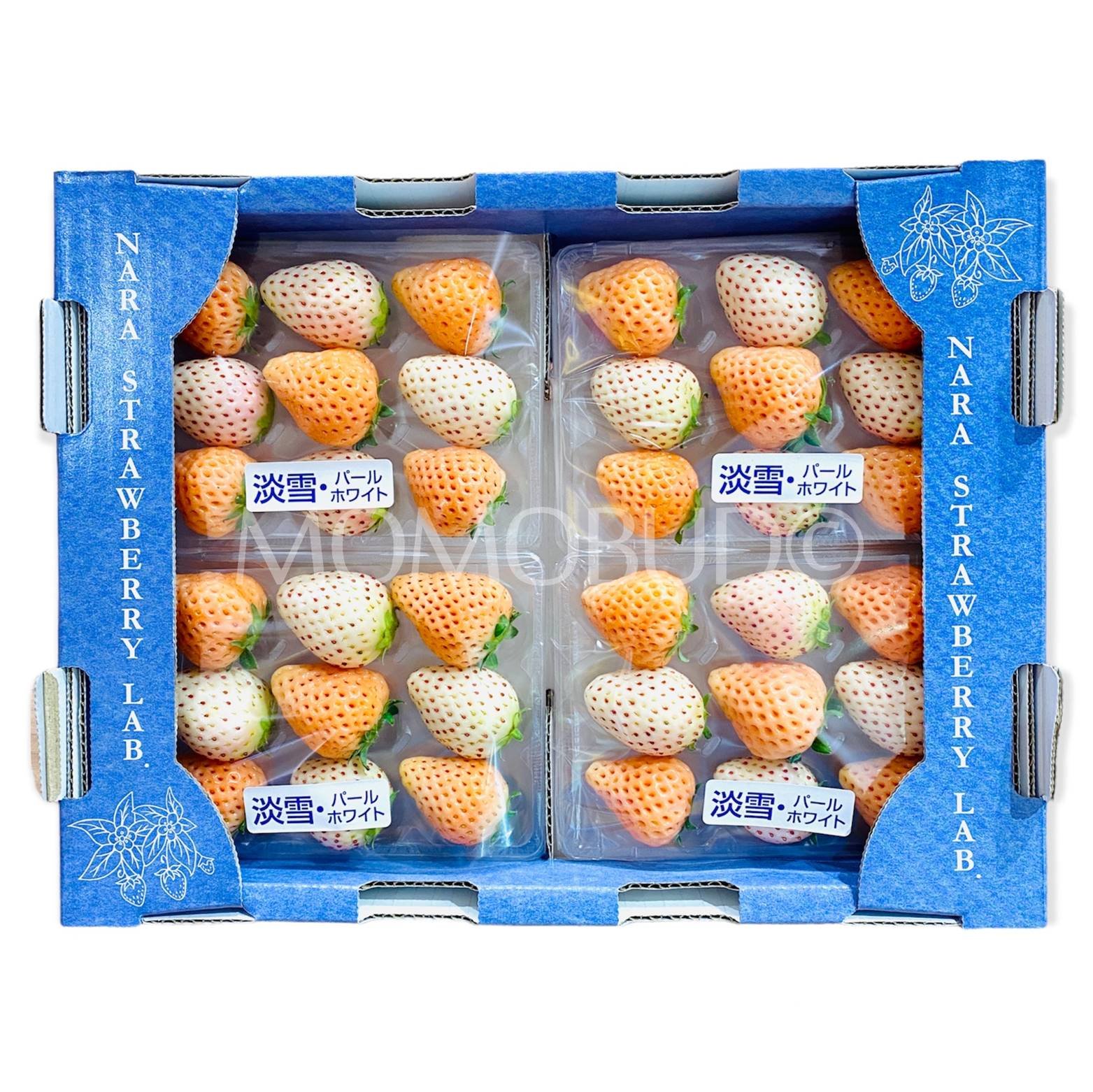 Japanese Nara Strawberry Lab (Pearl White | Awayuki) 140g