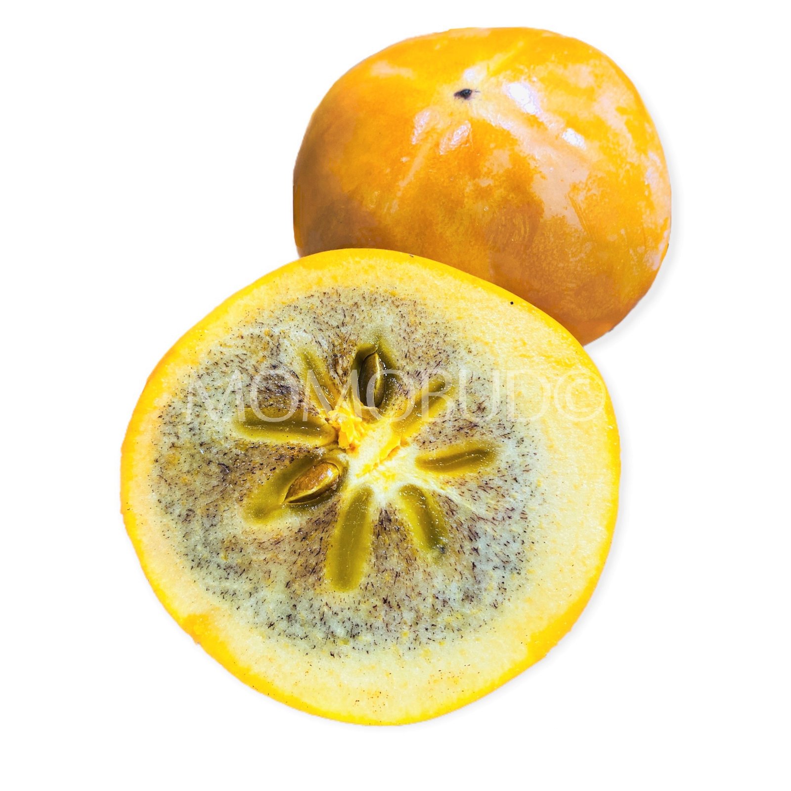 Japanese Nishimura Persimmon (Medium)