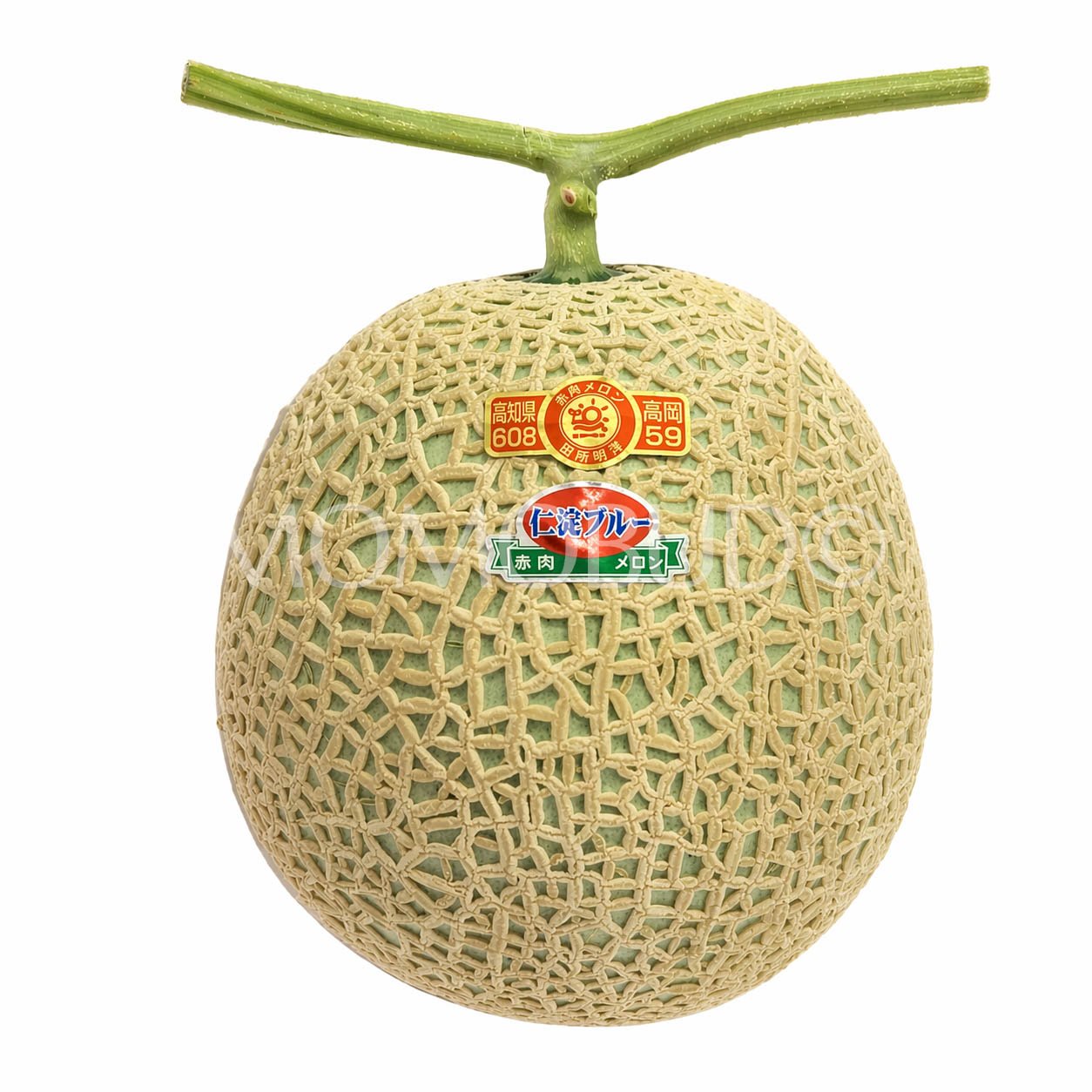 Japanese Niyodo Blue Arus Red Muskmelon (Large-Plus, 1.6kg approx)