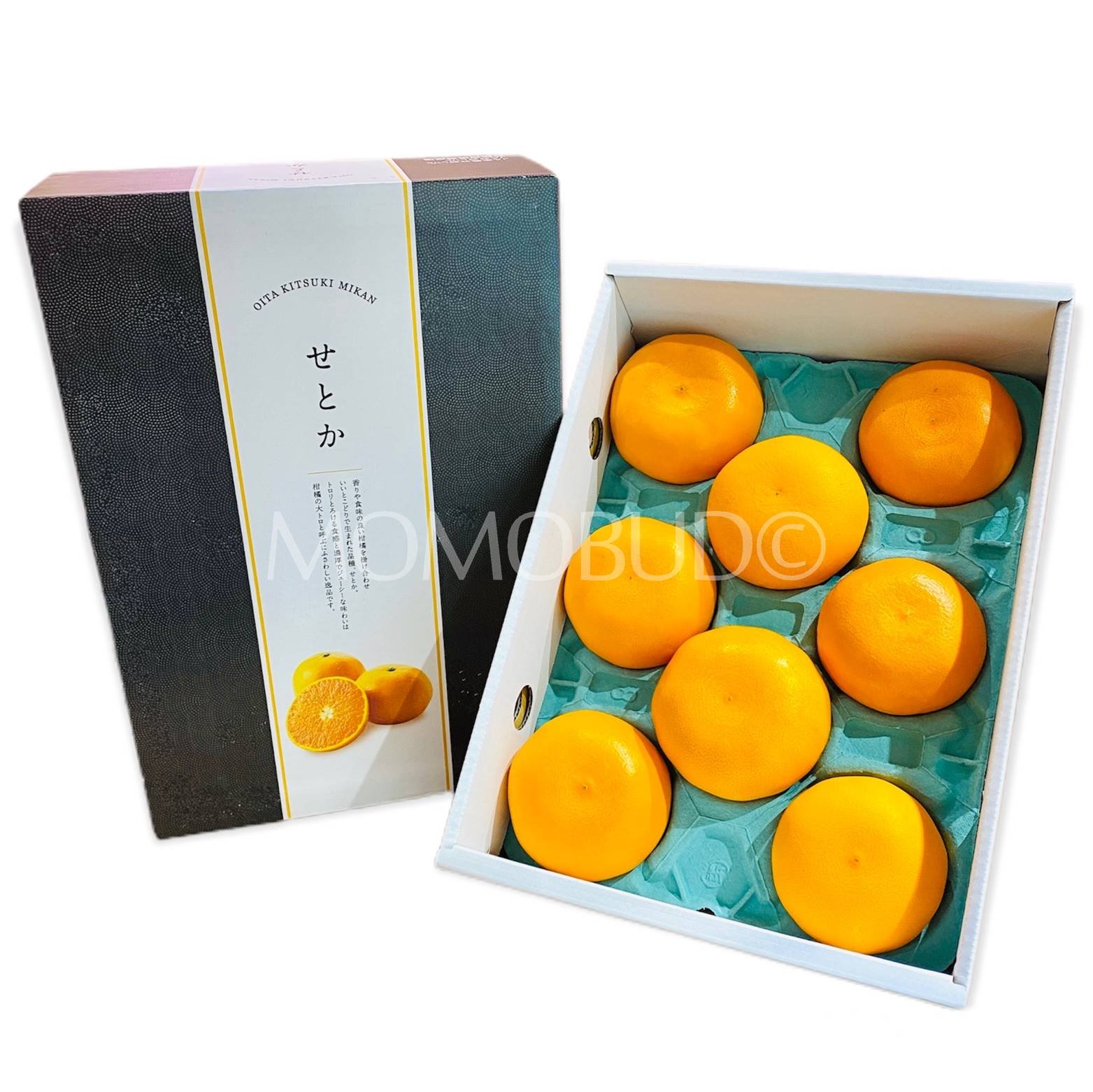 Japanese Oita Setoka Mikan (Mandarin Orange, Large)