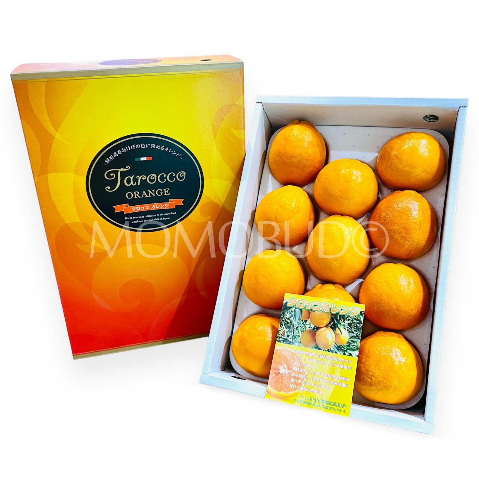 Japanese Oita Tarokko Blood Orange (Small-Plus)