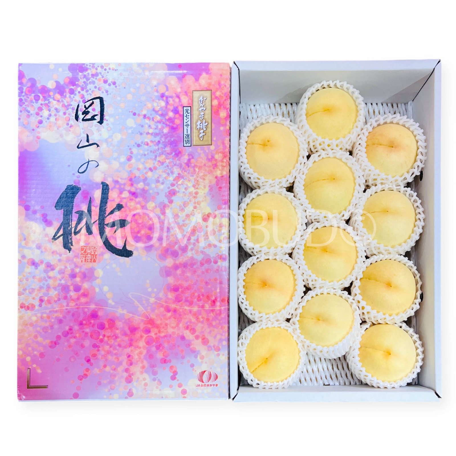 Japanese Okayama Megumihaku White Peach (Large)