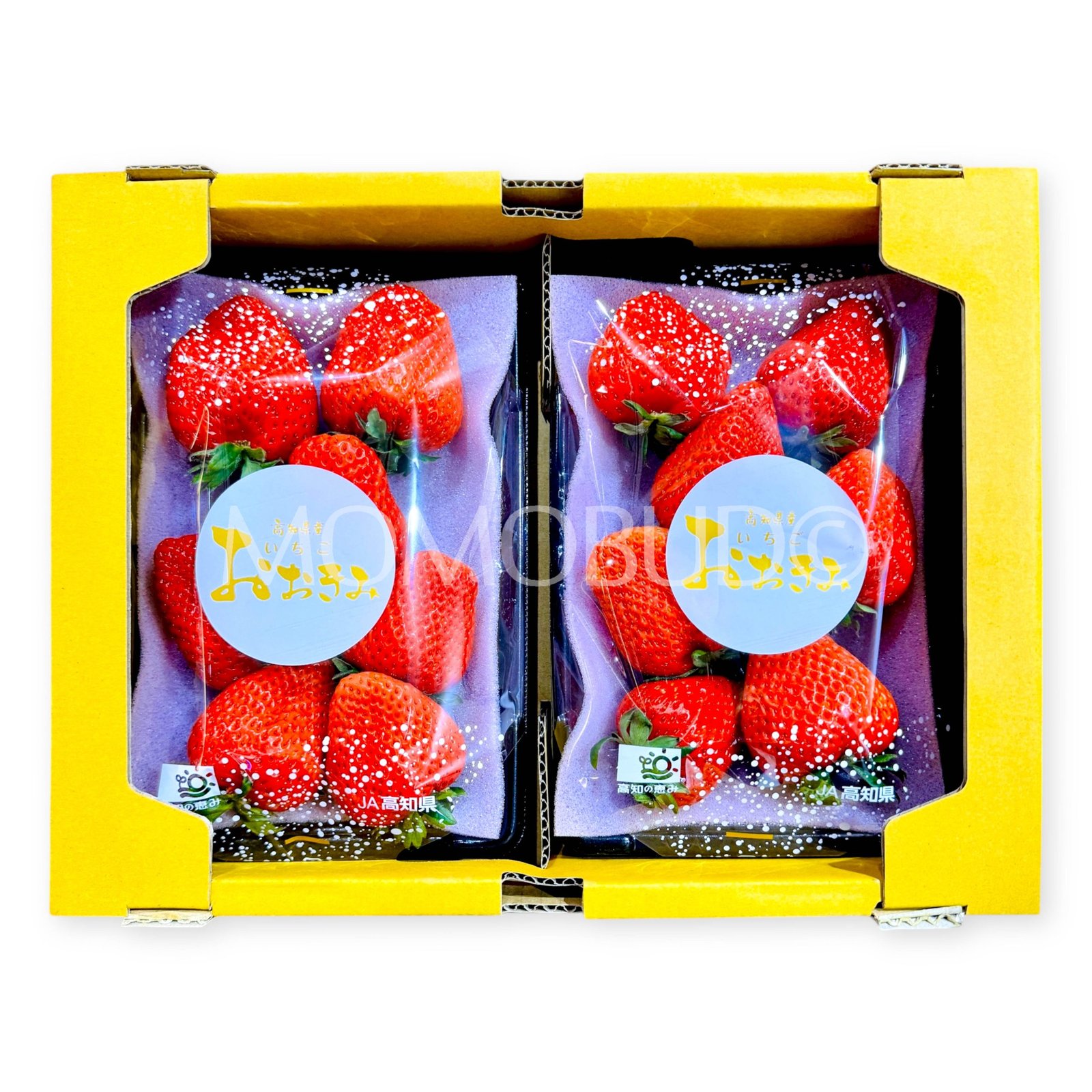 Japanese Ookimi Ichigo (Strawberry)