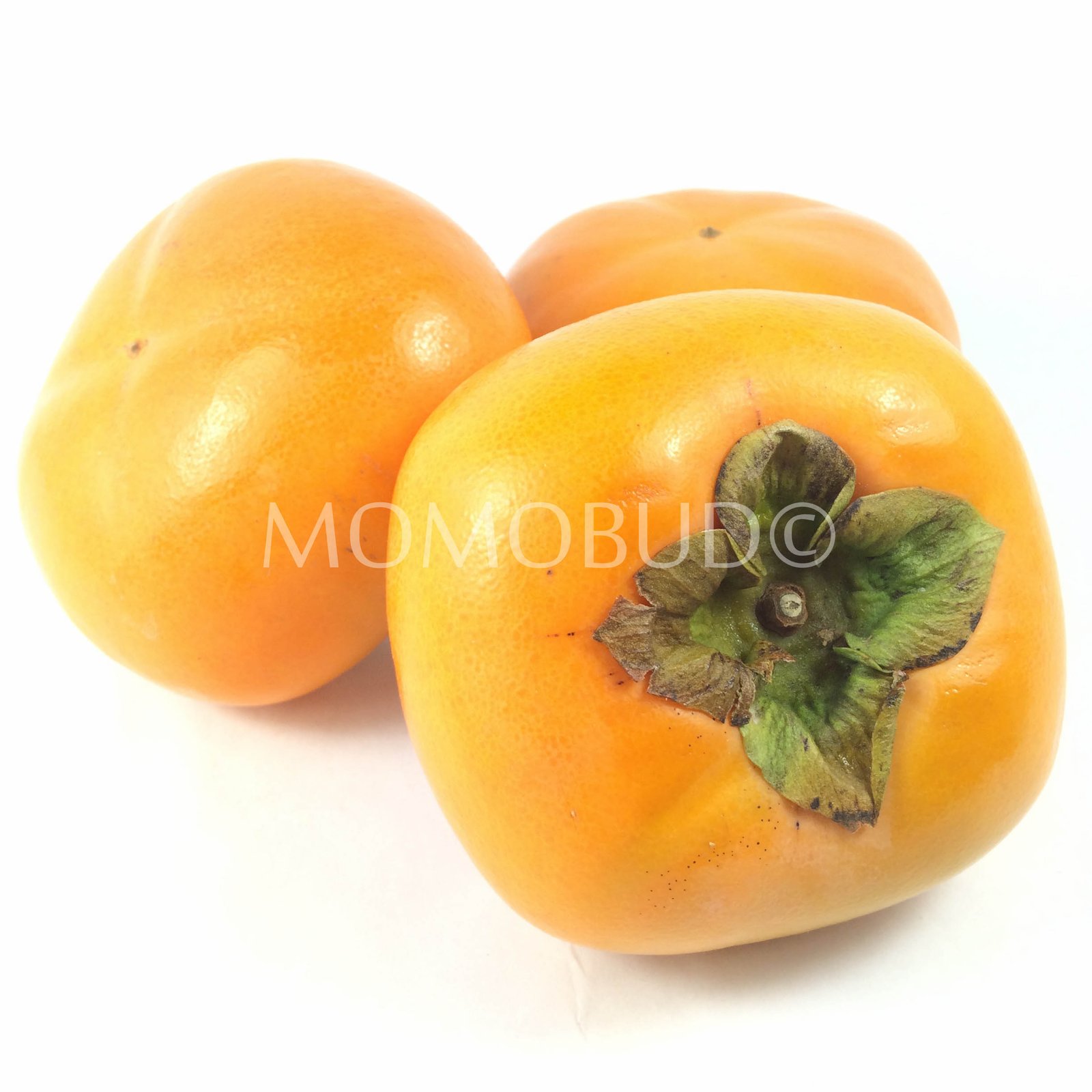 Japanese Fuyu Persimmon (Medium)