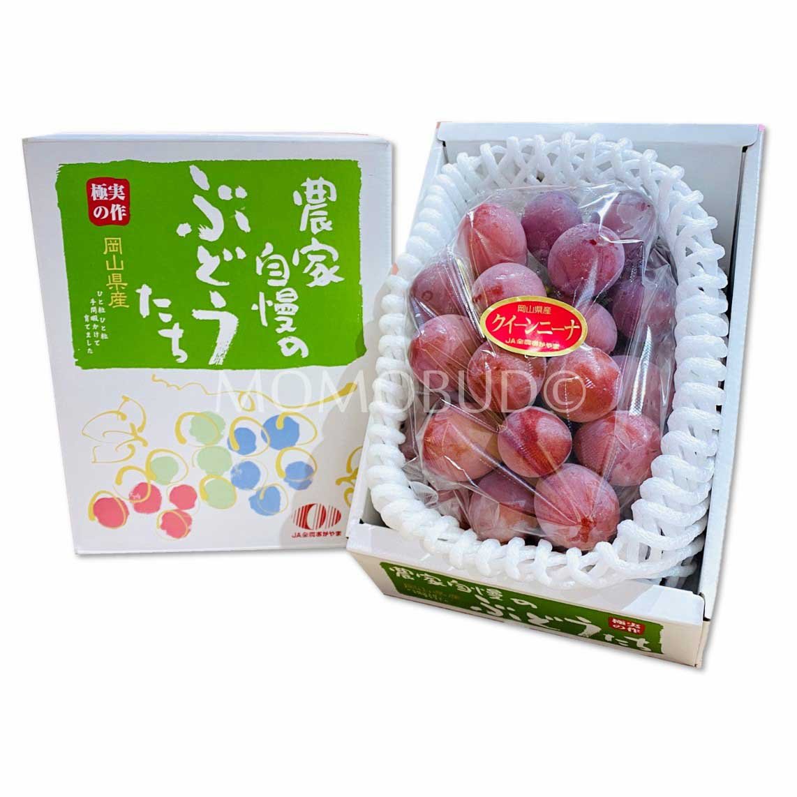 Japanese Queen Nina Seedless Grape Gift Box