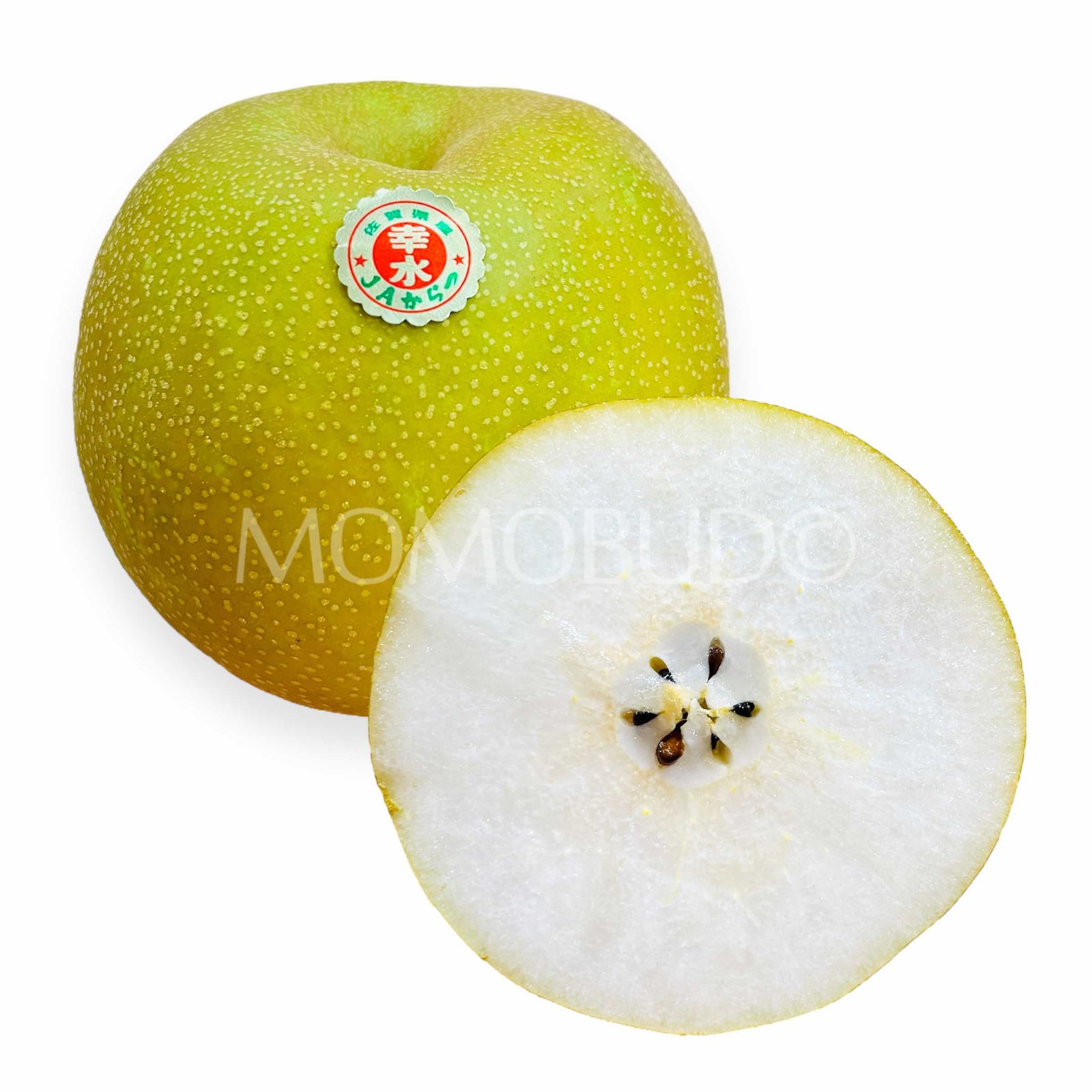 Japanese Kousui Pear (Small-Plus)