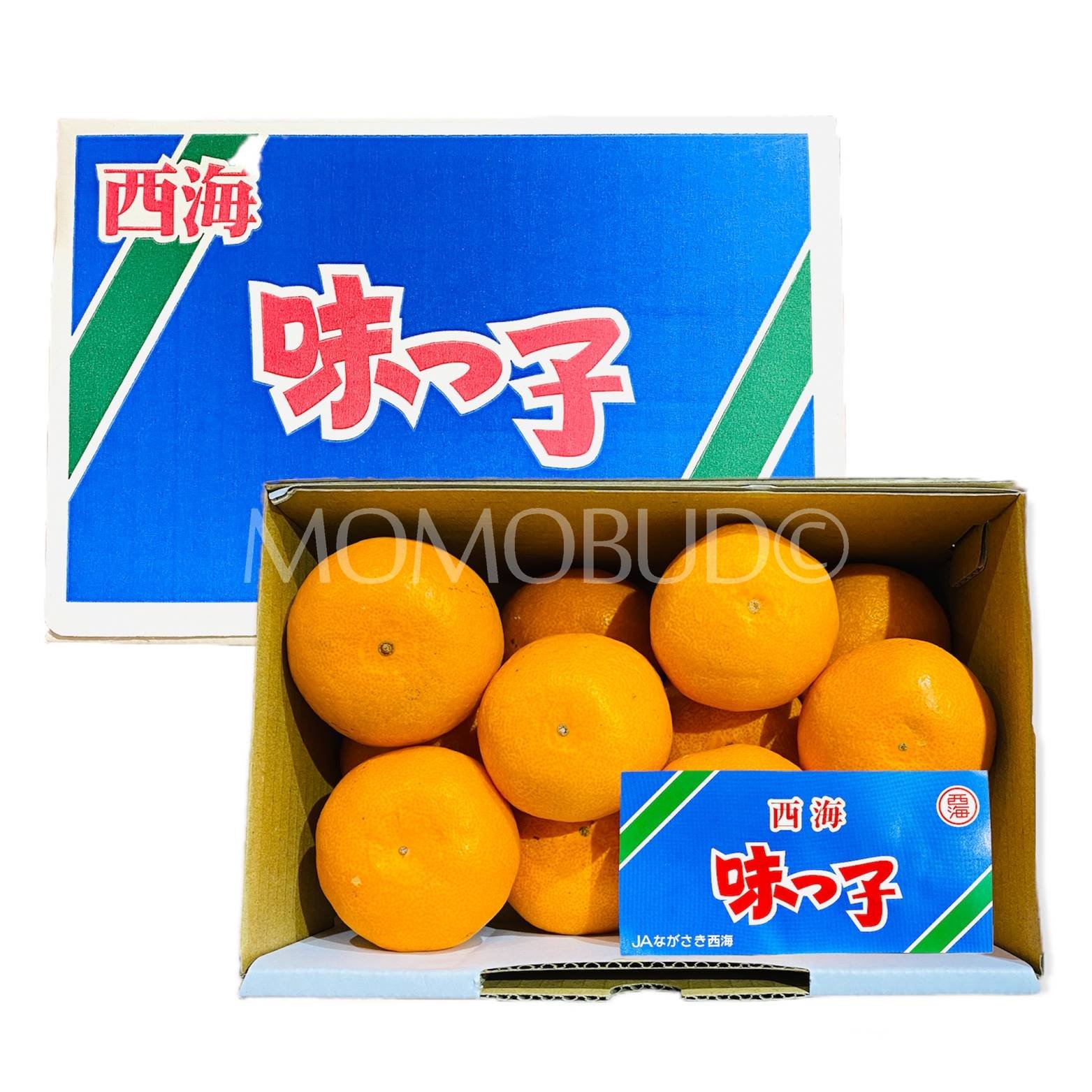 Japanese Saikai Ajikko Mikan (Mandarin Orange) Gift Box (1.2kg)
