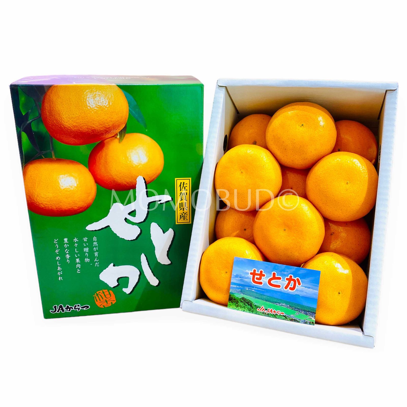 Japanese Setoka Mikan (Mandarin Orange)