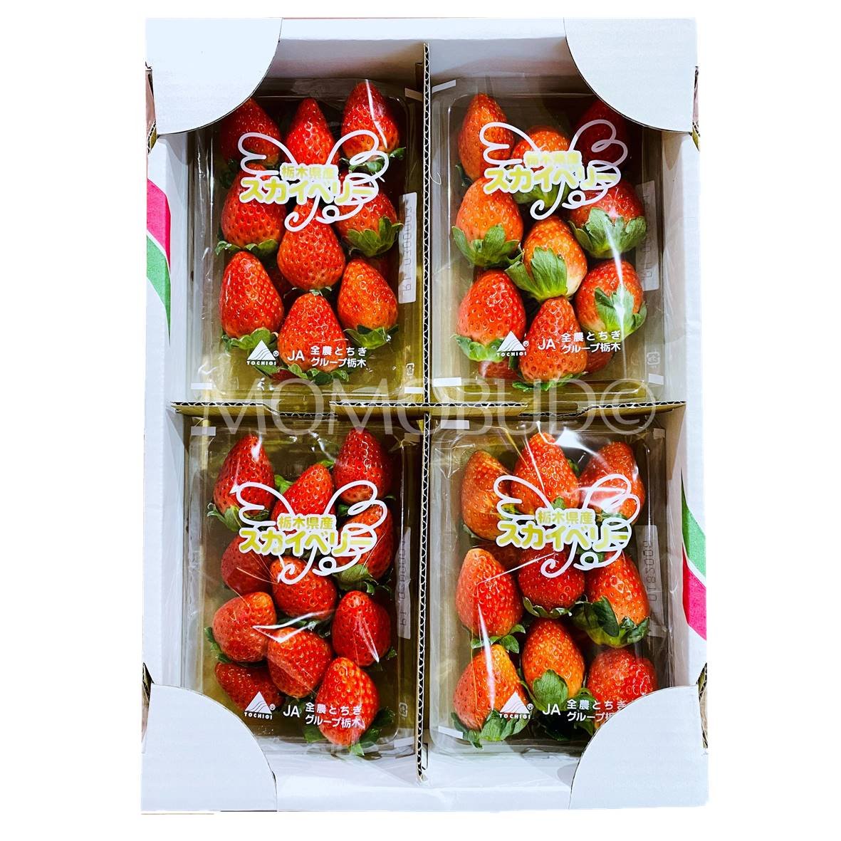 Japanese Skyberry Ichigo (Strawberry)
