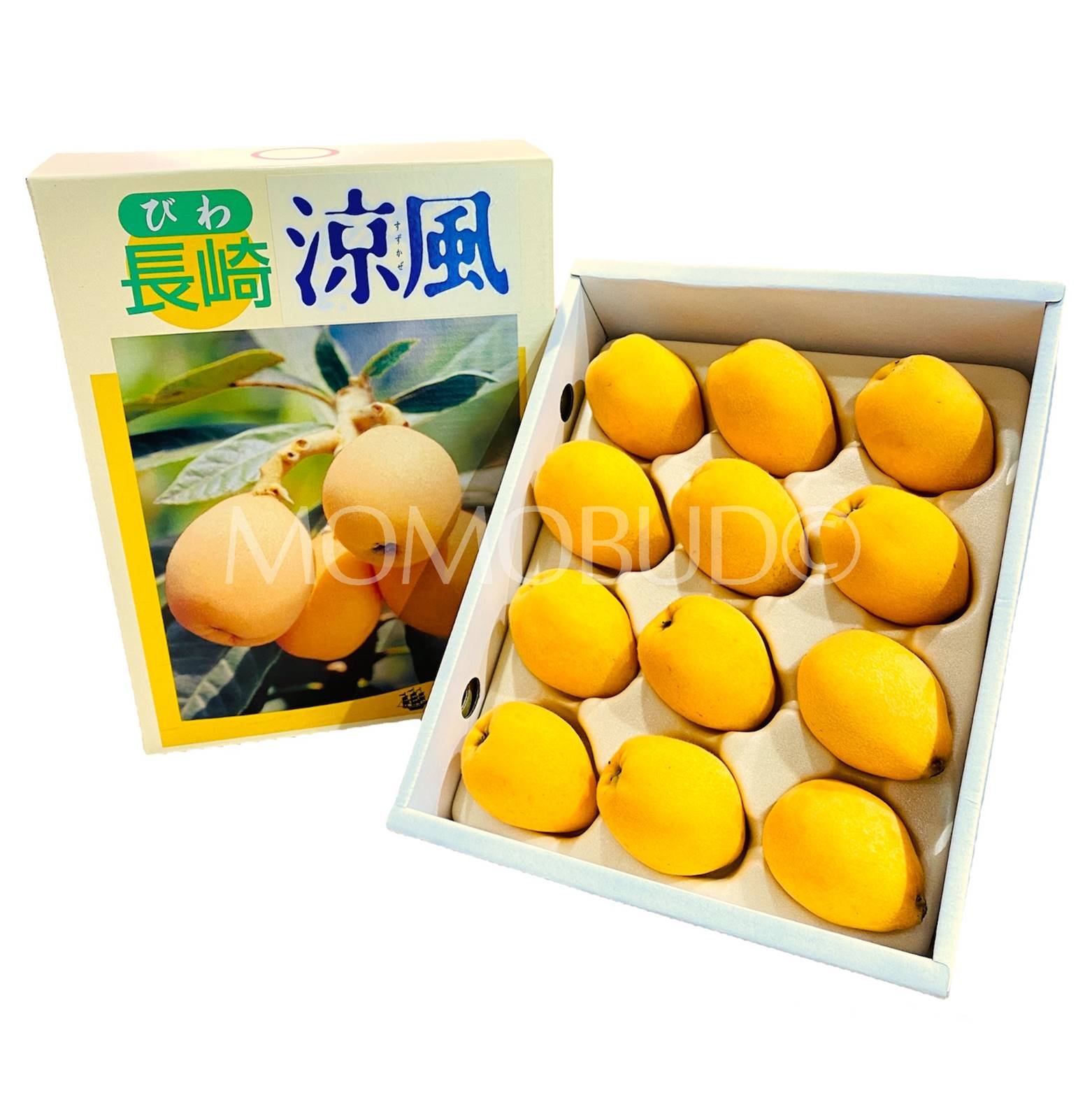 Japanese Suzukaze Biwa (Loquat) Gift Box