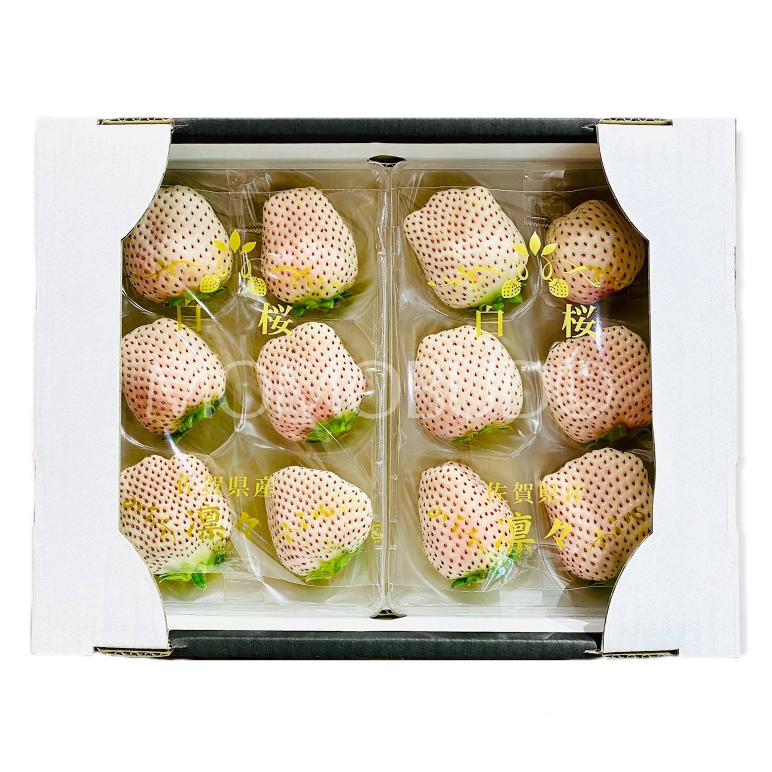 Japanese White Sakura Ichigo (Strawberry)