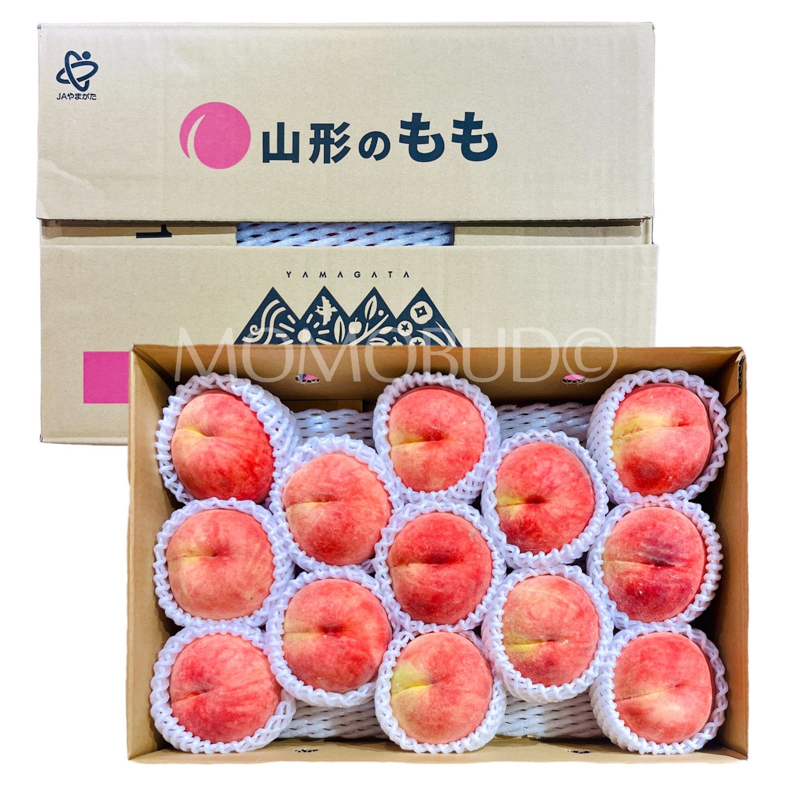 Japanese Date Hakutou White Peach (X-Large)