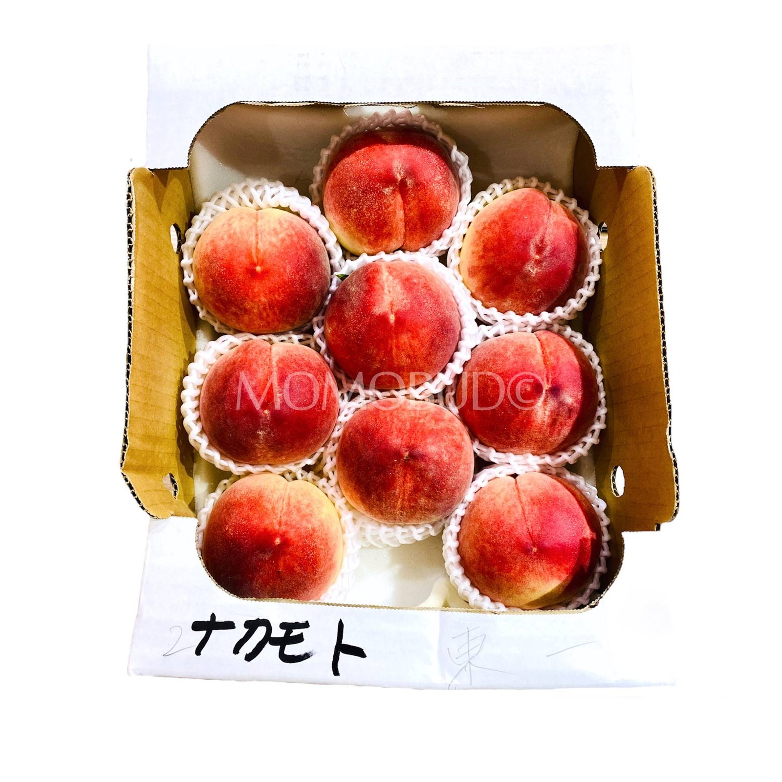 Japanese Misato White Peach (X-Large)