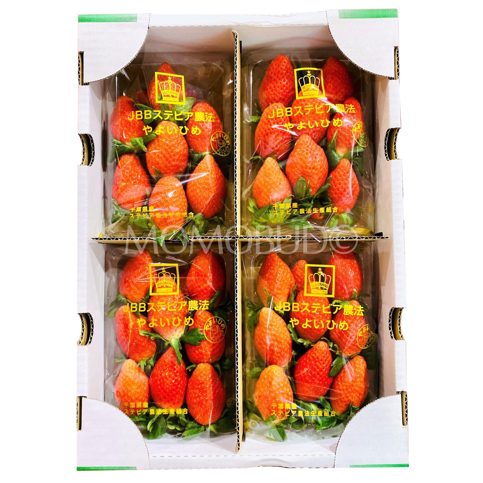 Japanese Yayoihime Strawberry
