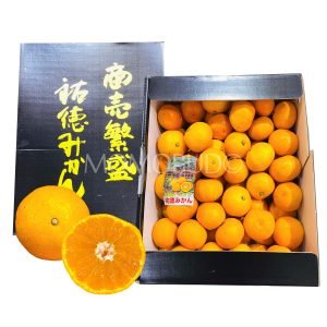 Japanese Premium Yutoka Mikan (Mandarin Orange)