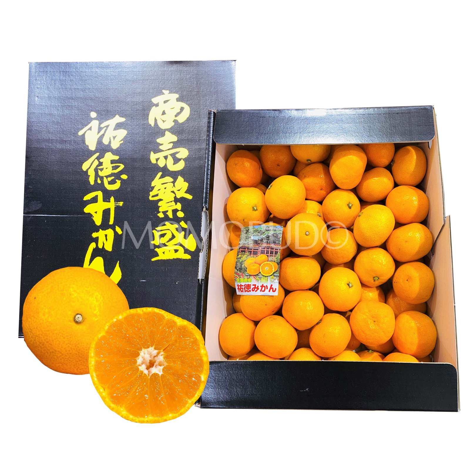 Japanese Premium Yutoka Mikan (Mandarin Orange)