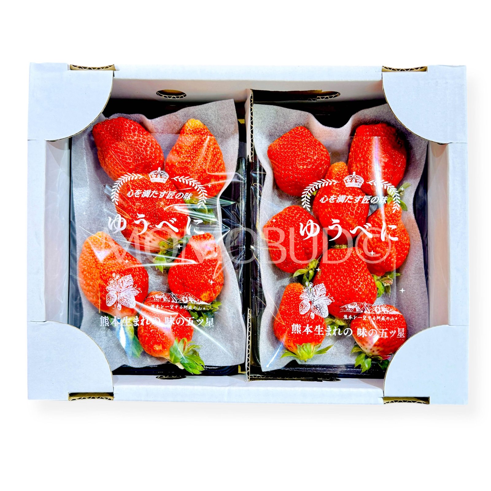 Japanese Yuubeni Ichigo (Strawberry)
