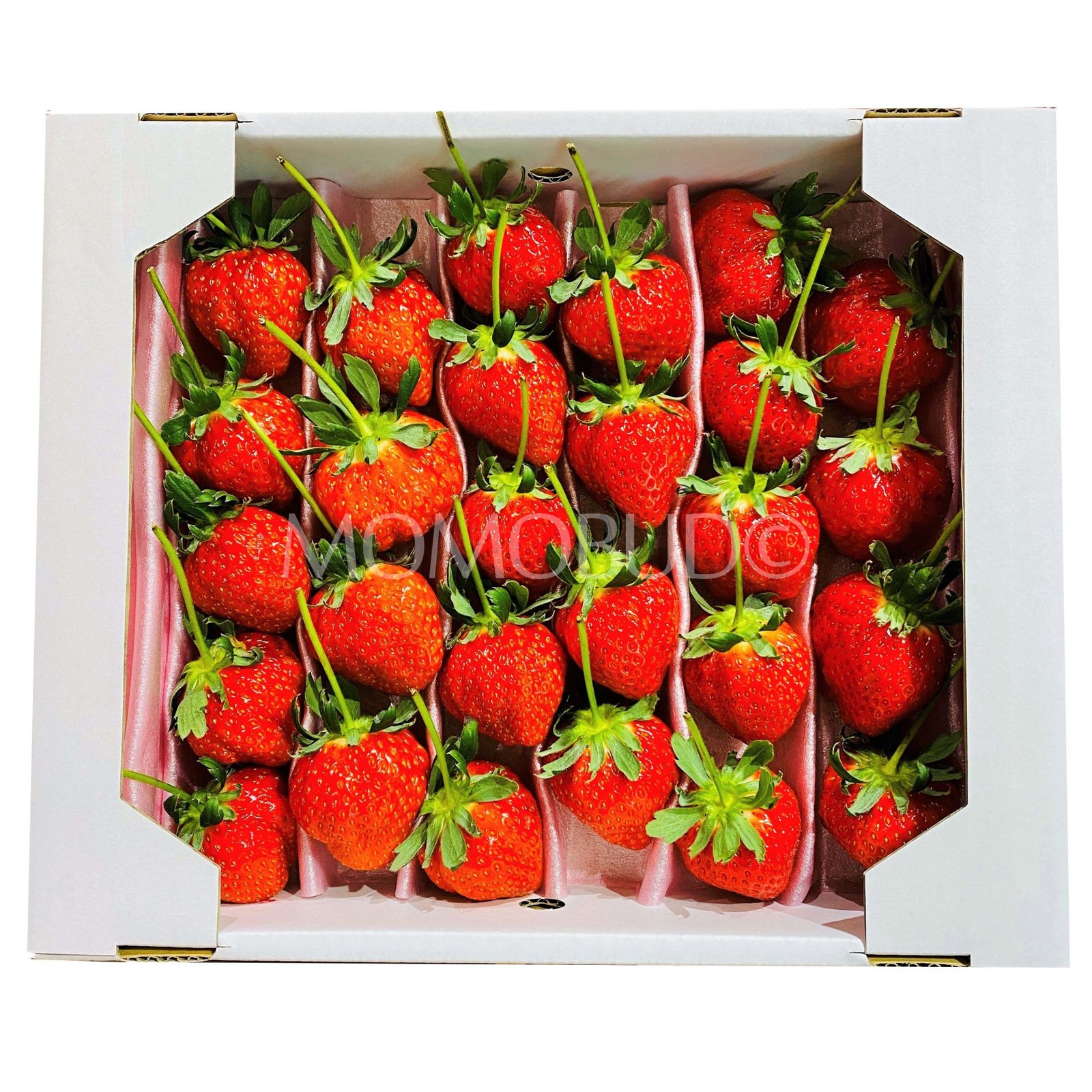 Jumbo Japanese Sanuki Hime Ichigo with Stem (Strawberry) Gift Set