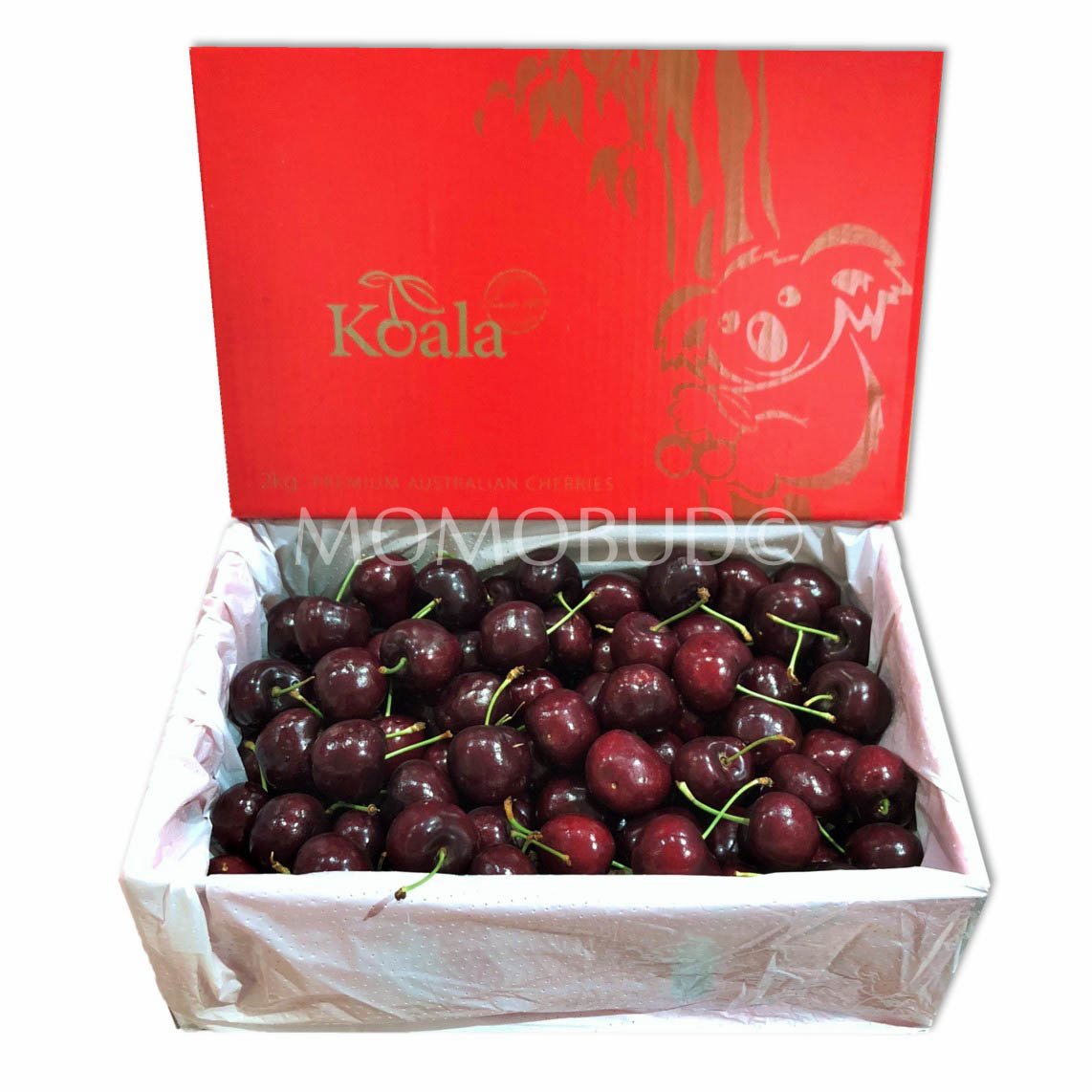 Jumbo Koala Red Cherry (2kg Premium Box)
