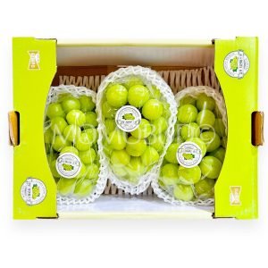Korean Green Shine Muscat Grapes