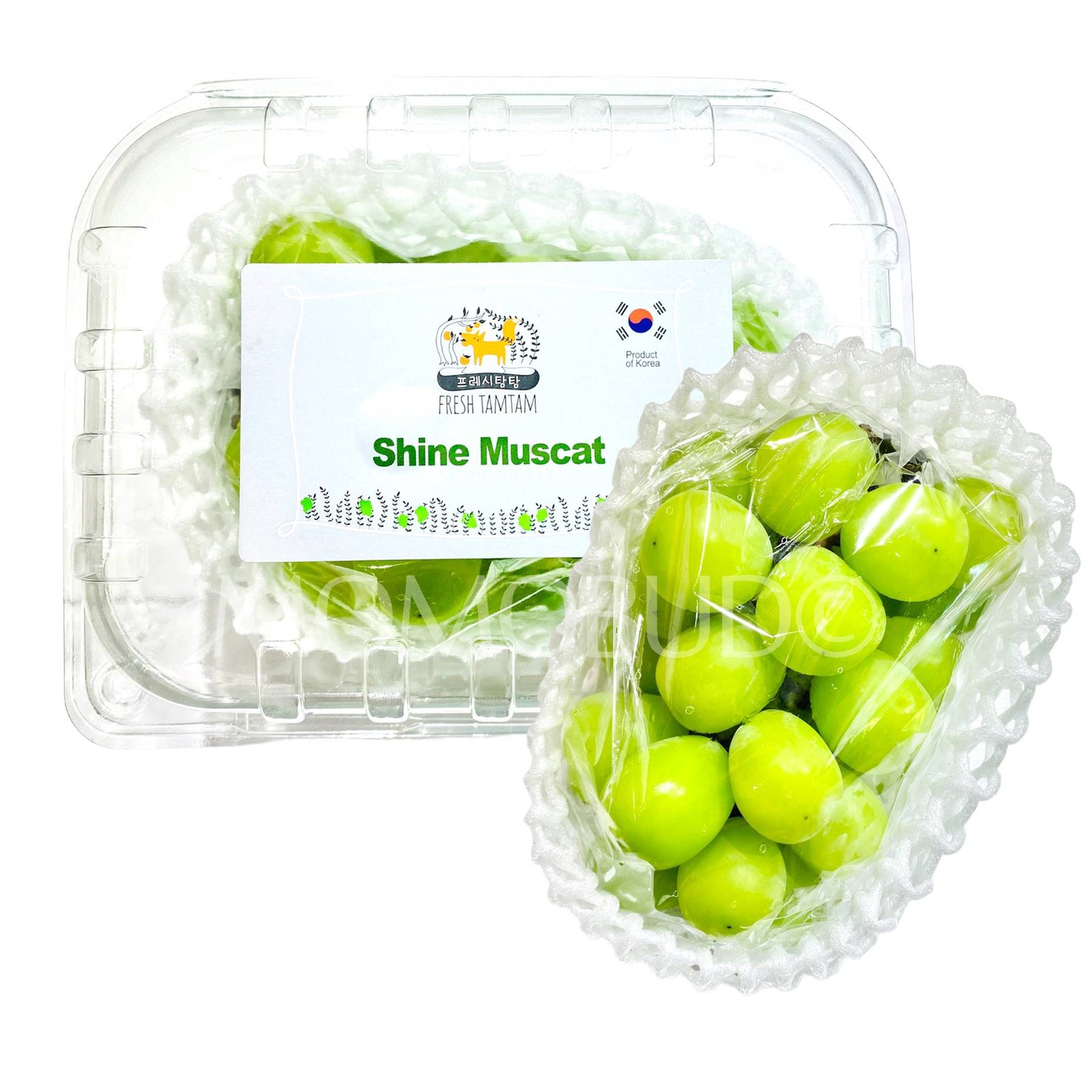 Korean Tamtam Shine Muscat Grapes (500g punnet)