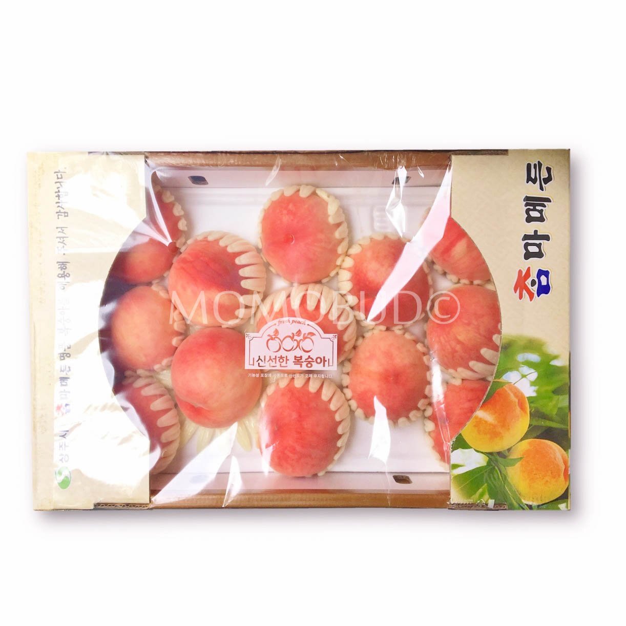 Korean Honey Water White Peach (Large)