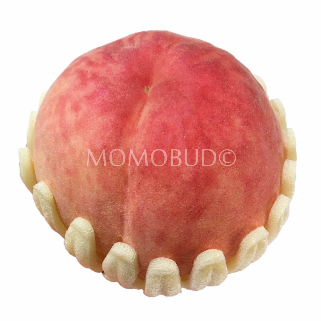 Korean Honey Water White Peach (Large) - Image 2