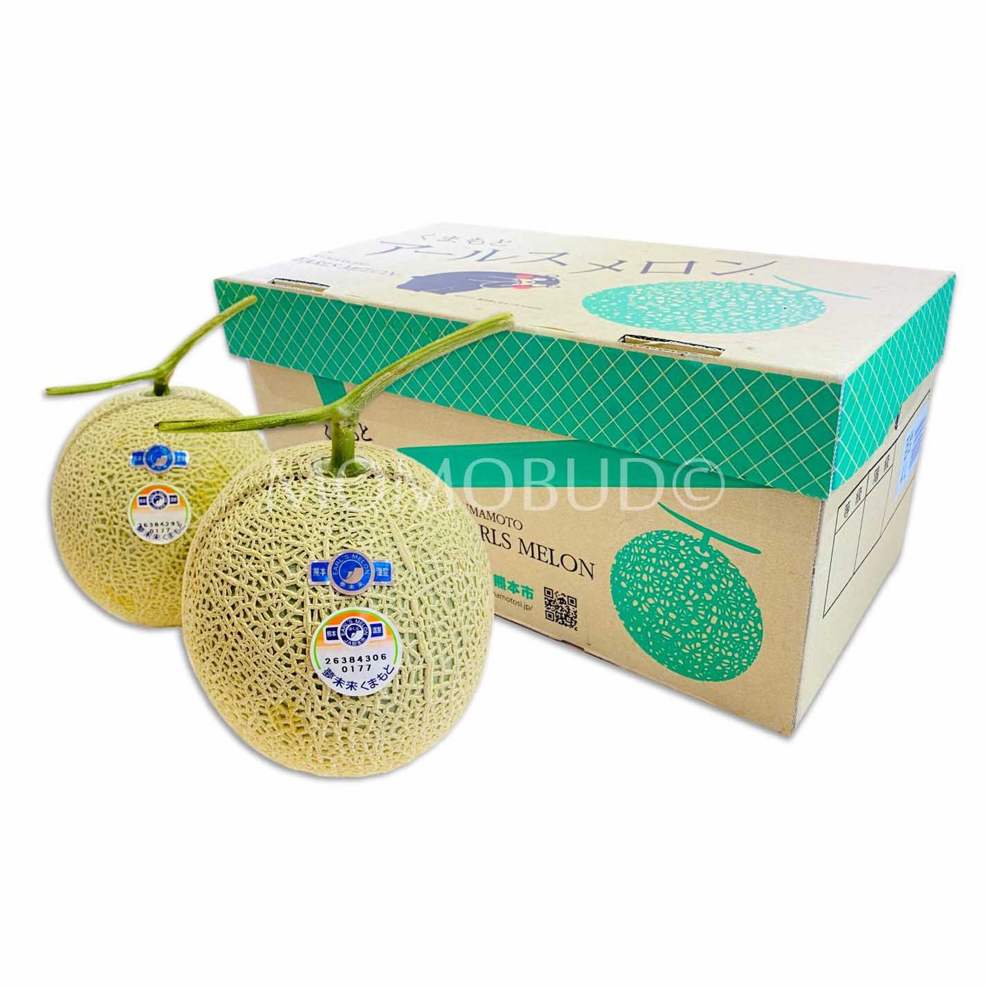 Kumamoto Arus Green & Red Muskmelon Gift Box (2pcs)