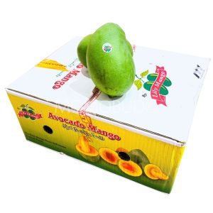 Lily Avocado Mango (Tree-ripened)