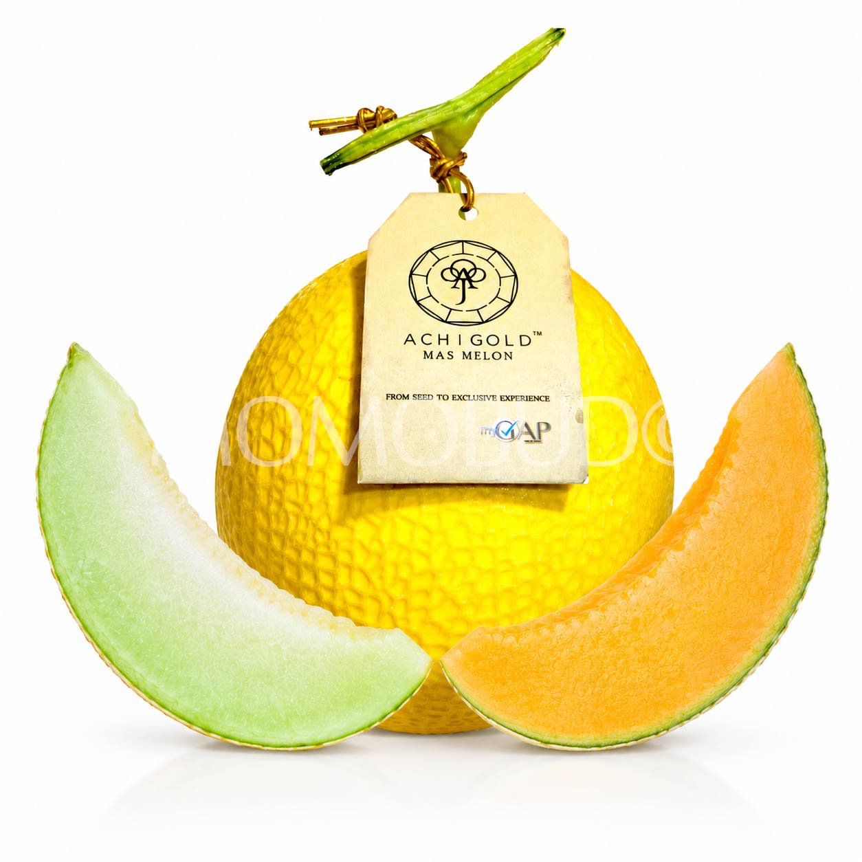 Achigold Mas Melon (Large-Plus, 1.6-1.7kg approx)