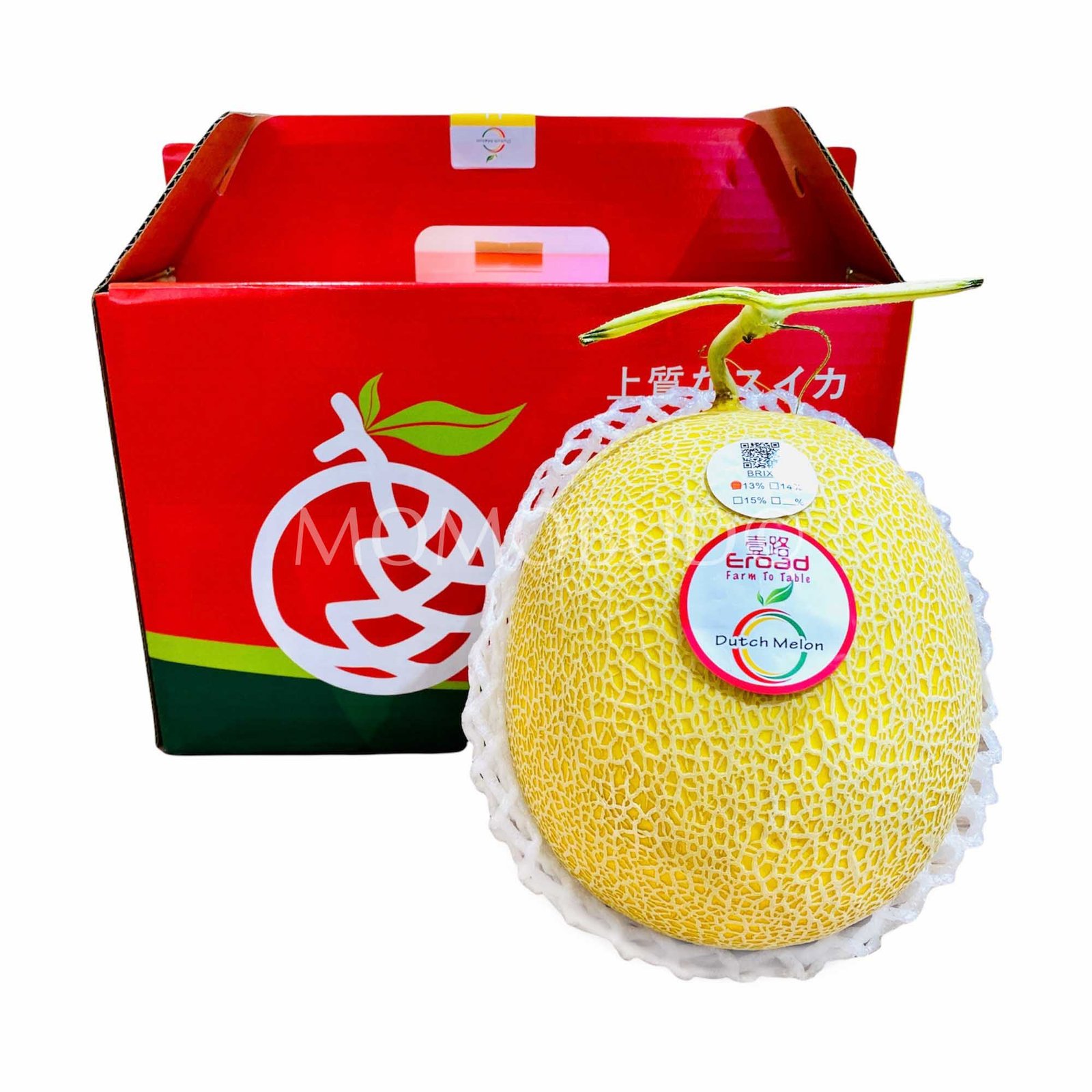Dutch Melon (Large-Plus)