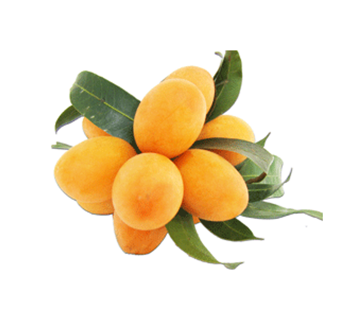Marian Plum (1kg approx)