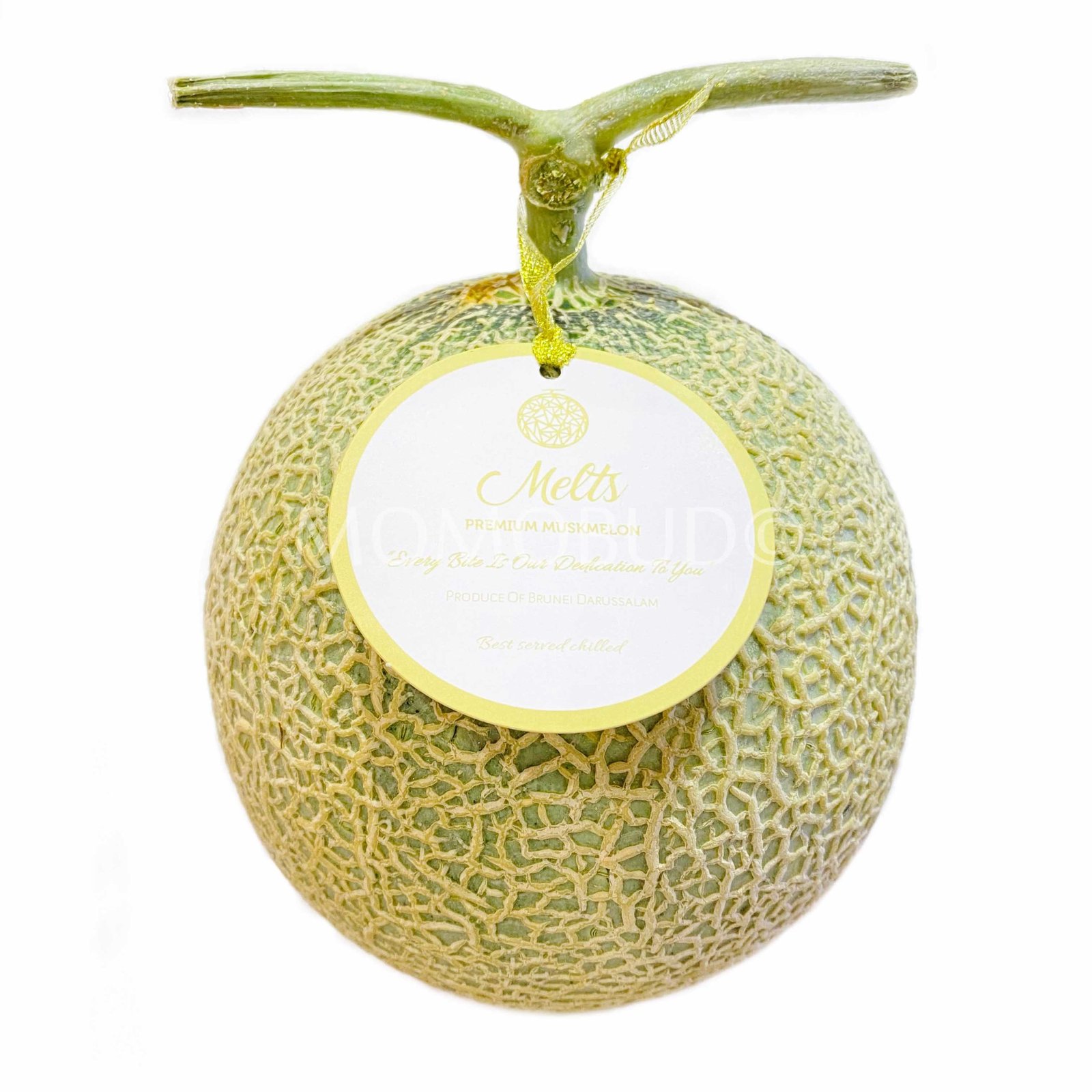 Melts Green Muskmelon (Medium)