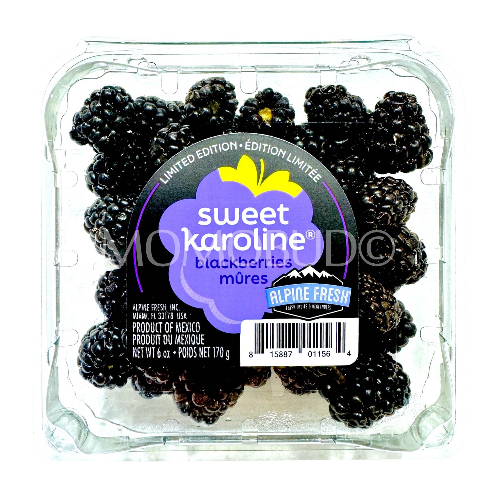 Sweet Karoline® Blackberry (170g punnet)