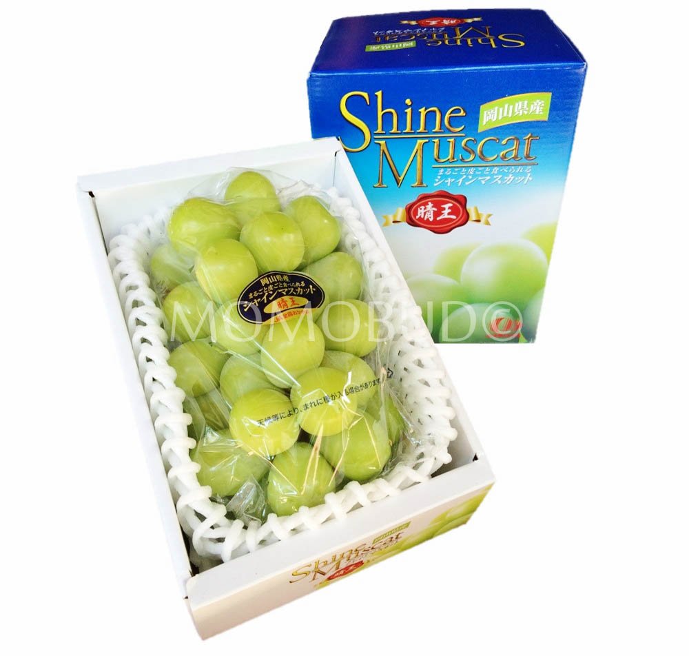Japanese Premium Hareo Shine Muscat Grapes Gift Box (900g and above)