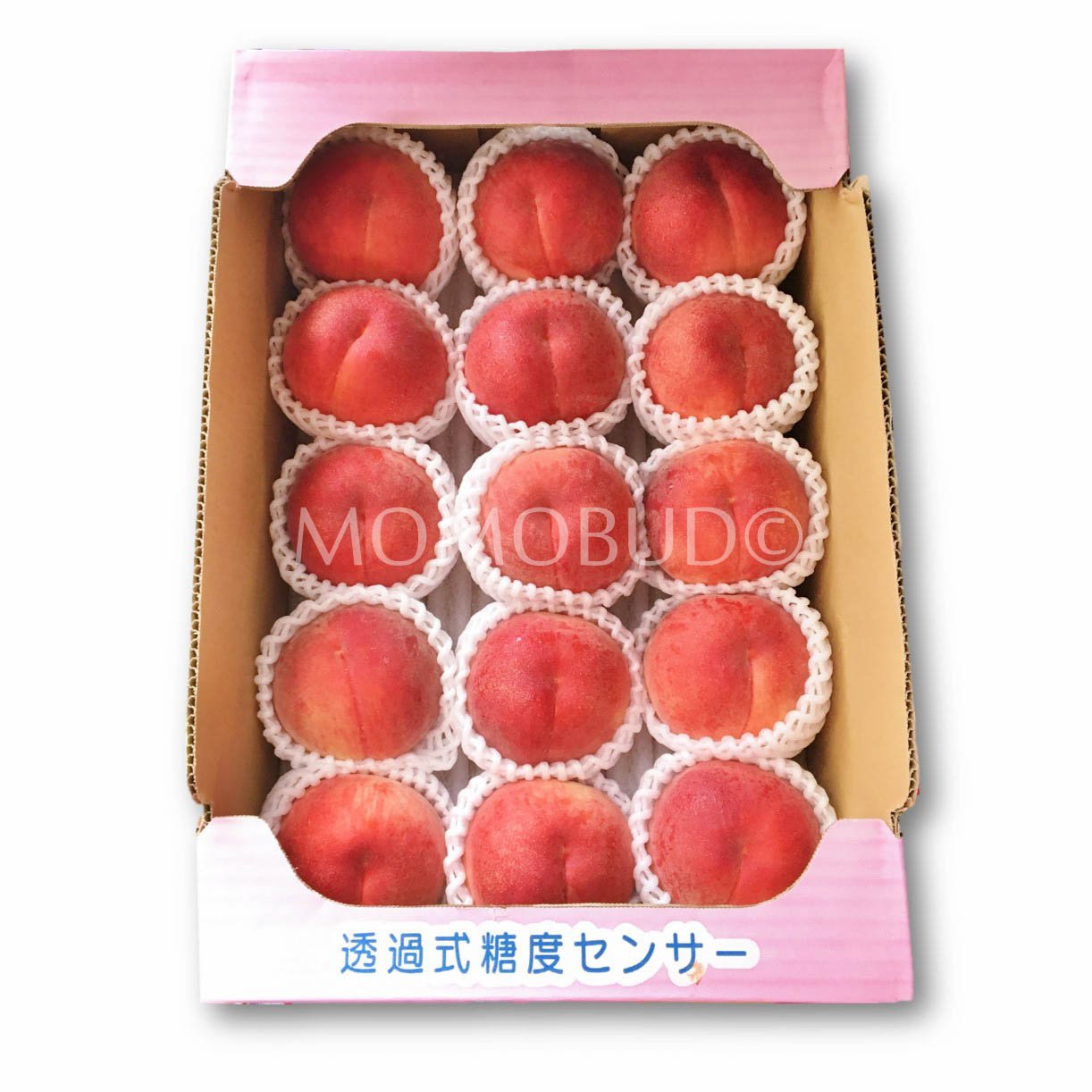 Japanese Misaka Kawanaka Jima White Peach (X-Large, Ittoushou Grade)
