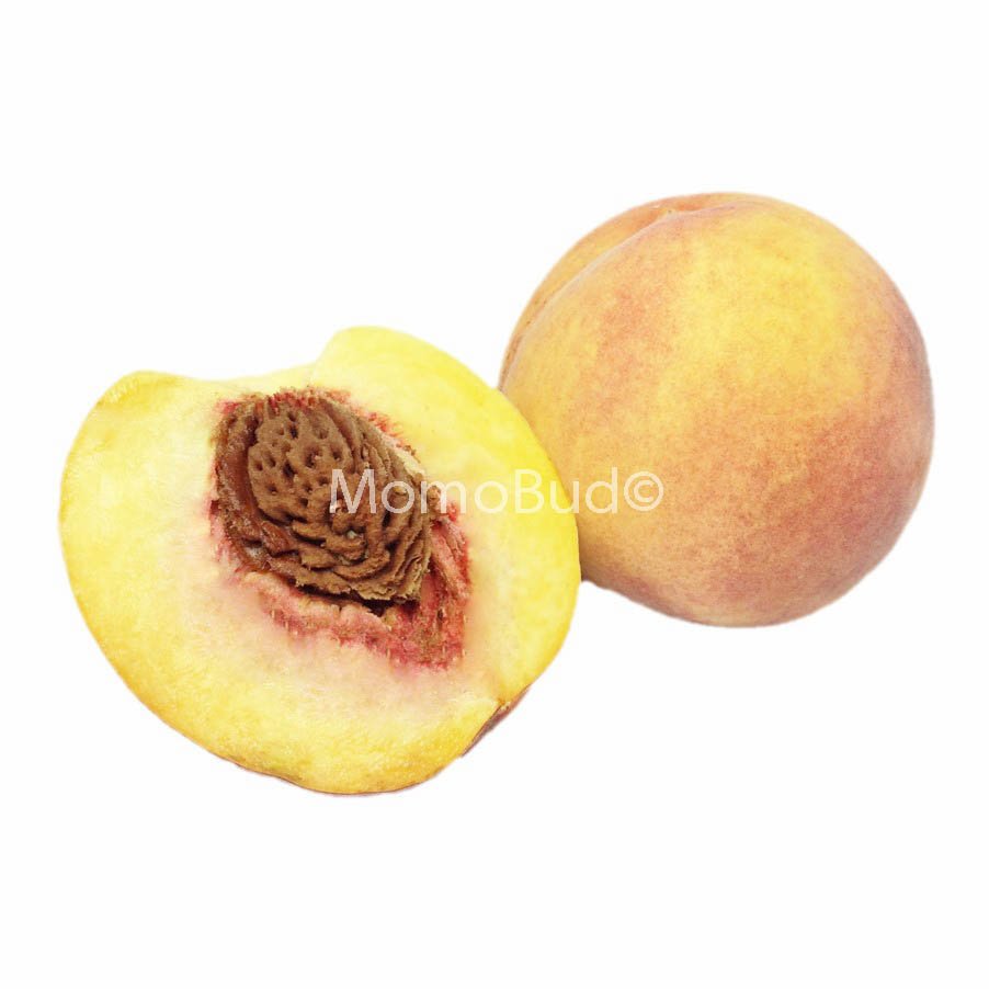 Noble Zee Yellow Peach (4pcs)