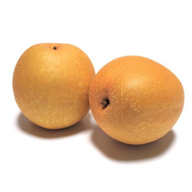 Japanese Oushuu Pear (Large)