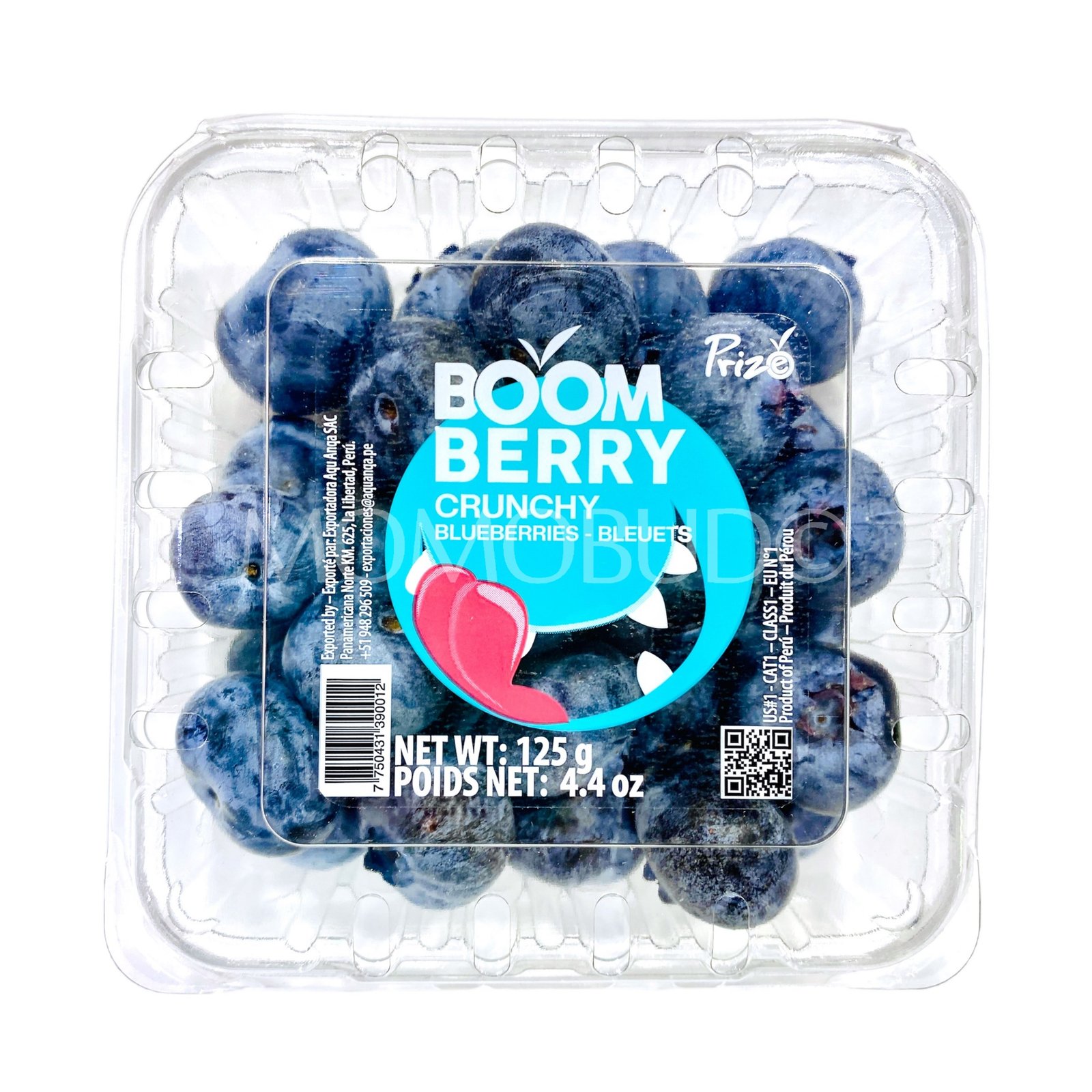 Peru Jumbo Boom Berry Blueberry (125g punnet)