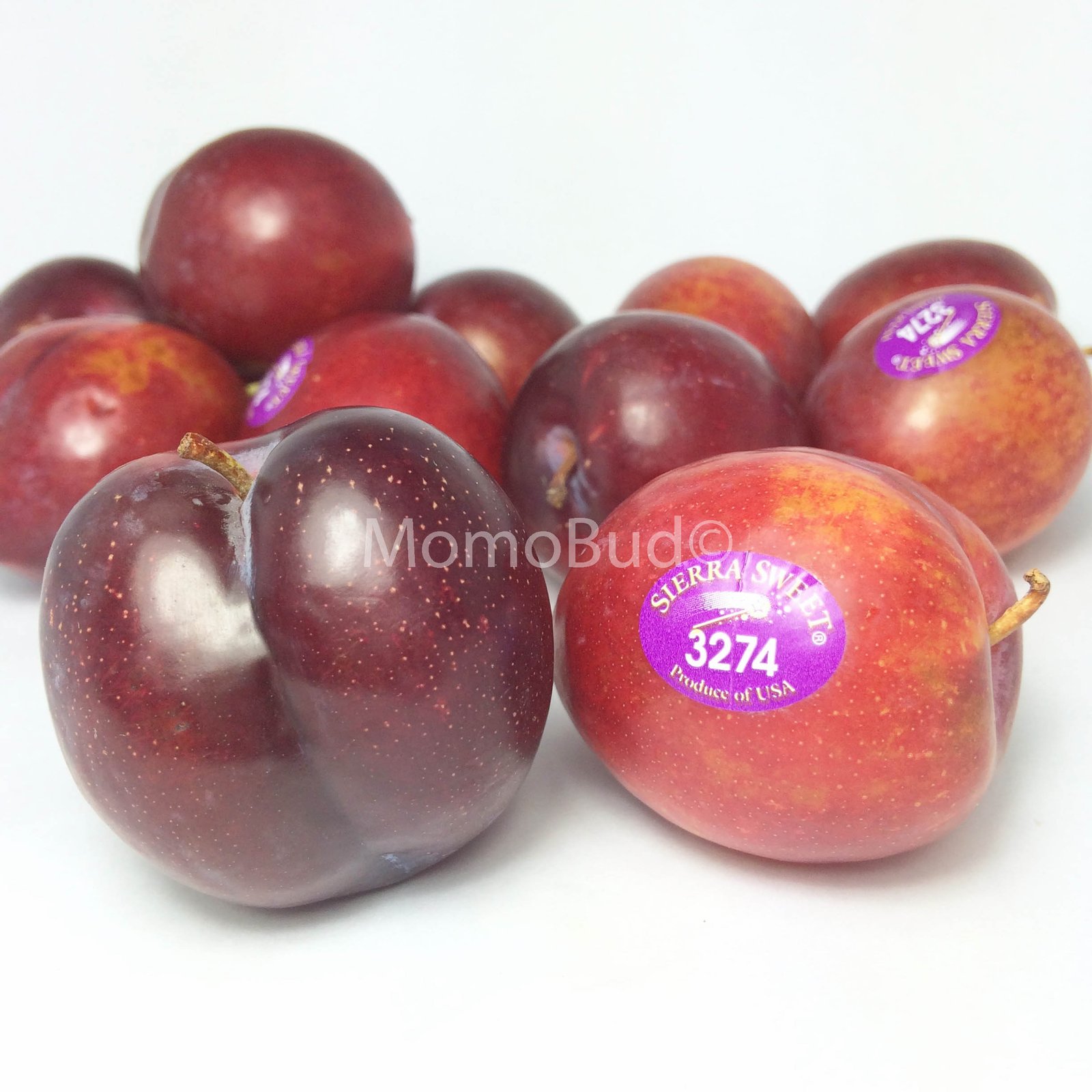 Sierra Sweet Plum
