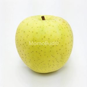 Japanese Orin Apple (Large, 3pcs)