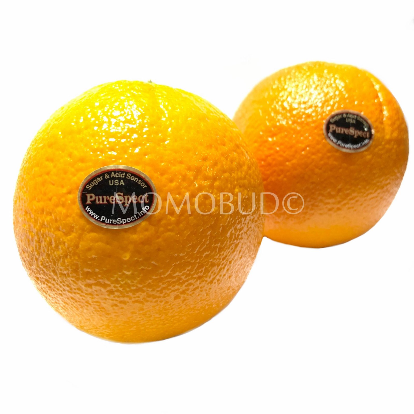 PureSpect Navel Orange (Medium-Plus, 5pcs)