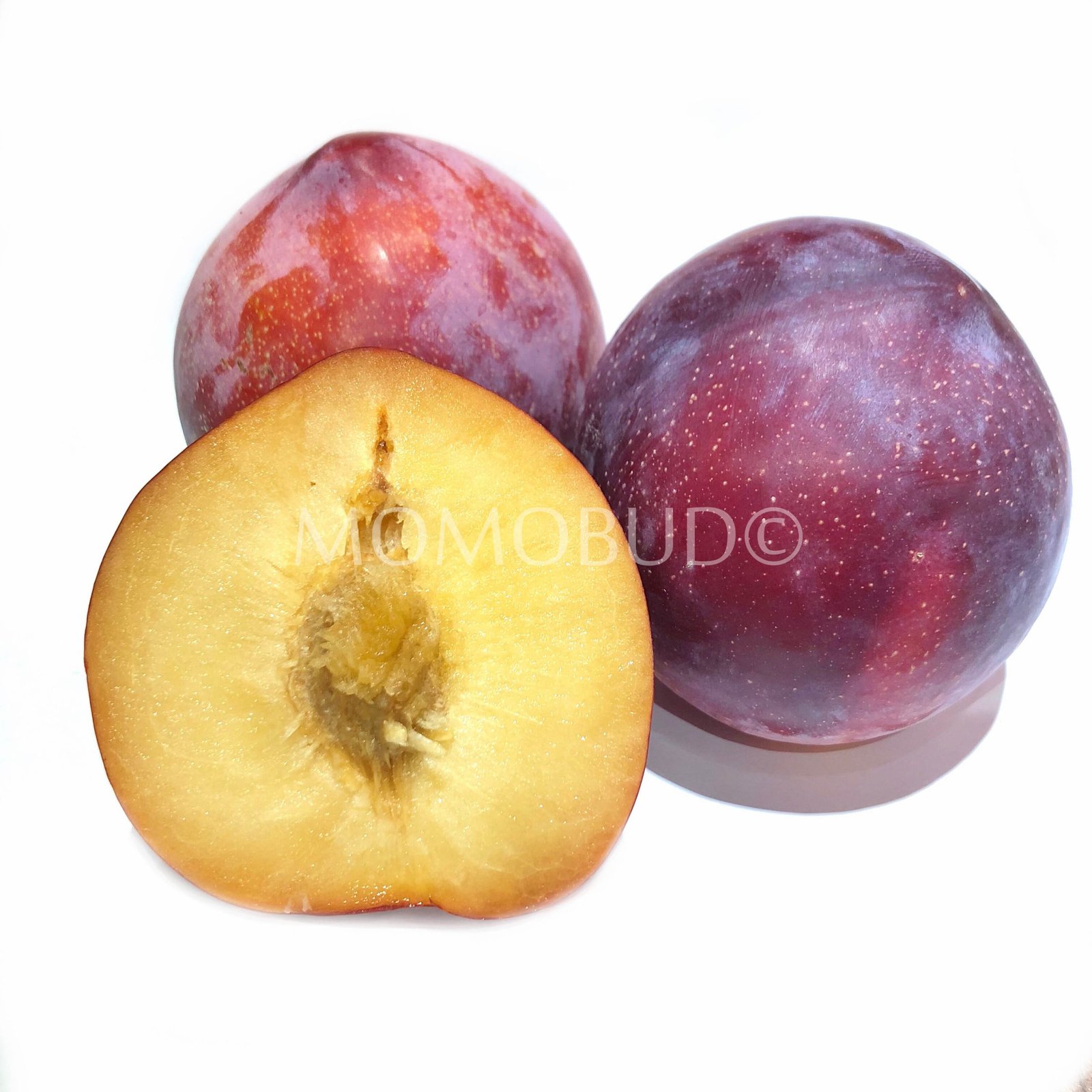 Red Gold Plum (3pcs)