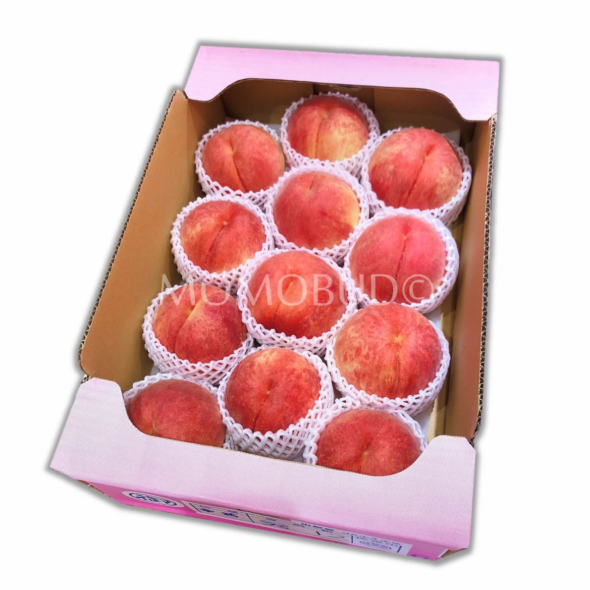 Japanese Seioubo White Peach (Large)